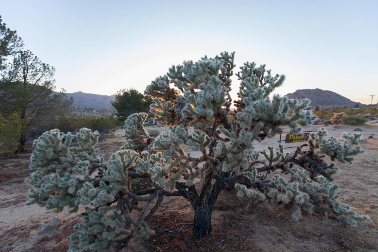 @ Marbella Lane - 10 Acres Oasis Desert Retreat! Joshua Tree Εξωτερικό φωτογραφία